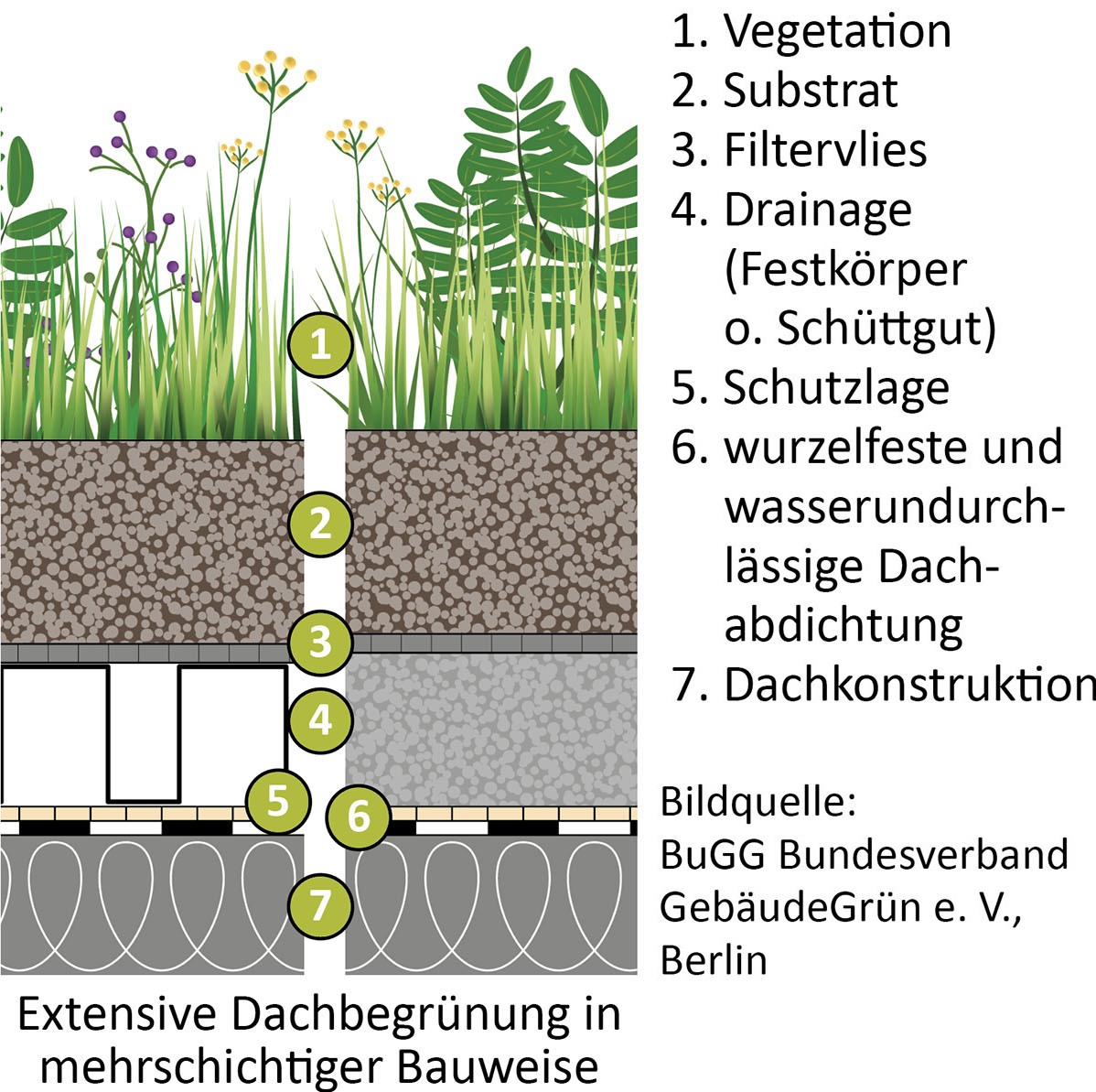 Diese Grafik zeigt den Aufbau einer intensiven Dachbegrünung.