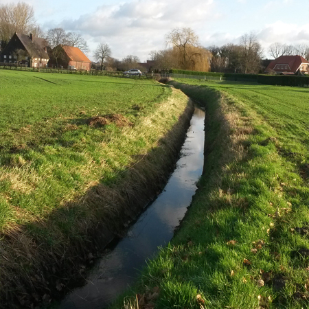 Dieses Foto zeigt den Dorfgraben in Lünen am Felddurchlass zum Dreischfeld.
