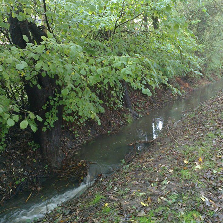 Dieses Foto zeigt den Krempelbach in Lünen.