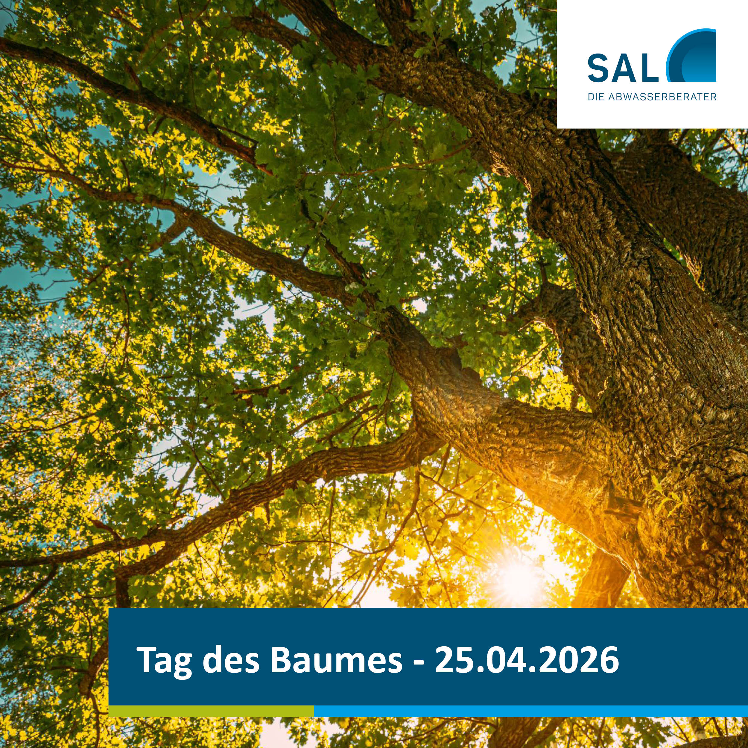 Tag des Baumes - SAL