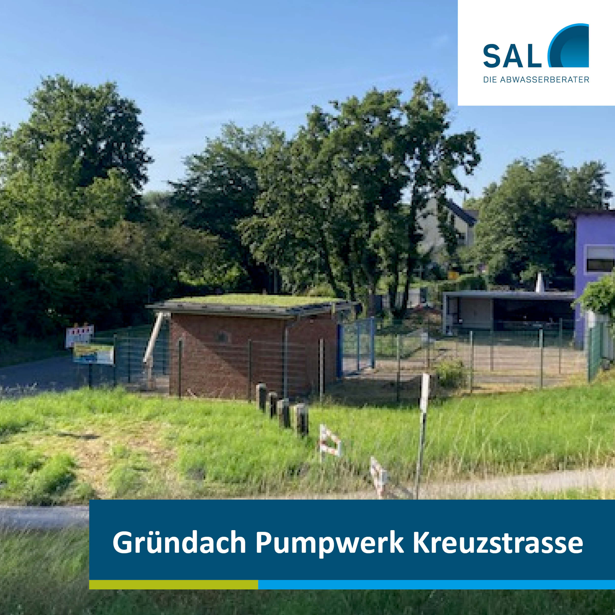 Gründach | SAL